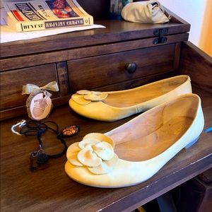 Yellow flats with the flower